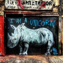 bearded-architect:  I am a UNICORN Photo