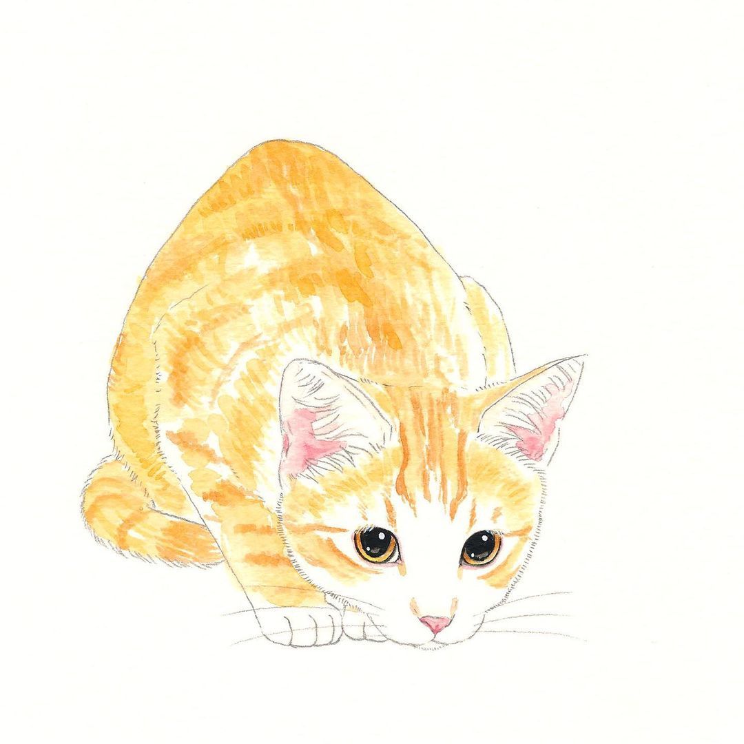 Takako Ide Illustration Takako Ide Illustration