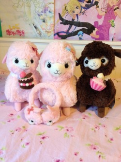 p0kemina:  milkykitten:  Rosy’s Garden Review I ordered my Alpacas on the 8th, and they arrived today on the 17th  rosy61987 is so sweet and friendly, she was super helpful with my custom order. She replied to all my emails really quickly, and was