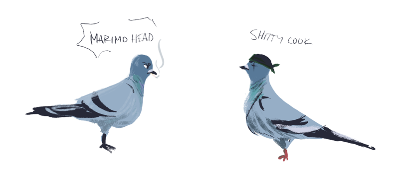 demdoodles:  MUGIWARA ROCK PIGEONS 