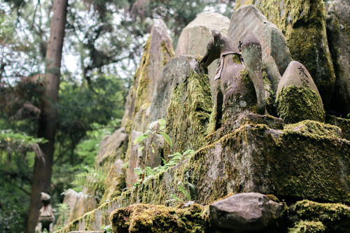 Kyoto, July 2015