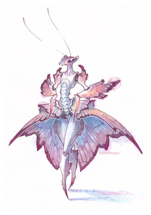 drachenmagier:  Orchid mantis~. Ball-gown-version. Bloomers would most likely be closer to the original creatures and I will have to draw one with that kind of “clothing” later, but I liked the idea of a wide skirt too much to not instantly scribble