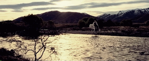 arwwenn:“Run, Shadowfax. Show us the meaning of haste.”