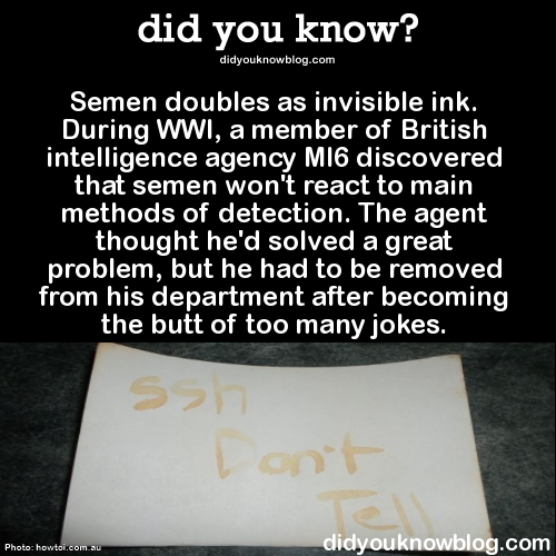 gravity-what:  greenchainsaw:  mermandos:  did-you-kno:  When they discovered that