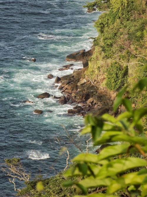 culturallywild:  Chagauramas hiking trail. First incline. Trinidad.  Copyright 2016 Troy De Chi. All