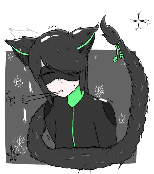 Cat #2