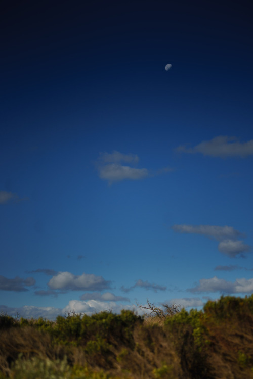 Moon over The Great Ocean Road