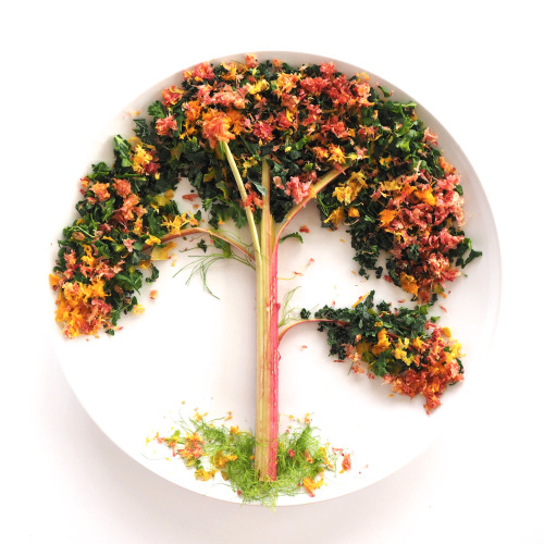 culinarycanvas:  Fall Tree. Kale - Rhubarb - Lemon - Orange - Apple - Fennel