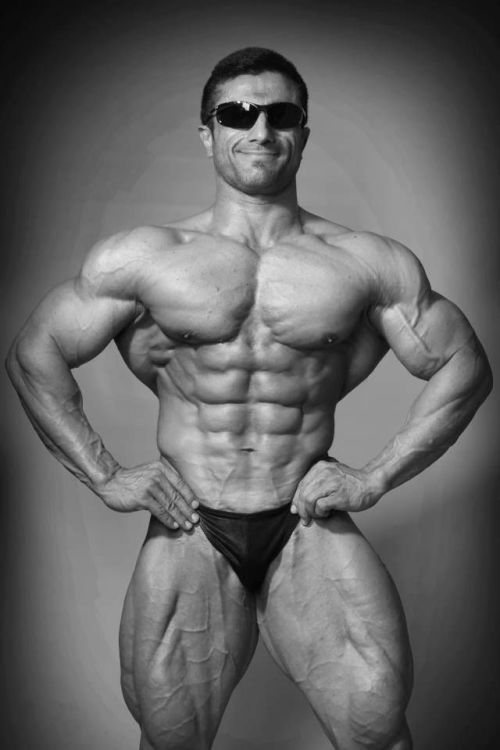 Best Bodybuilding Pics