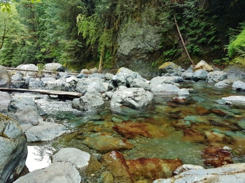 hikingvancouverisland:Rosewall Creek (Bowser) July 13 2017