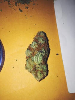 stonerspecialty:  Cotton Candy smells so good