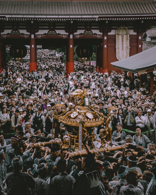 Matsuri mood ⛩Sanja Matsuri is one of the most popular festivals in Tokyo and held on the third week