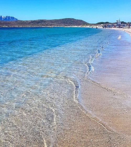 lanuovasardegna:La spiaggia Le Saline a Olbia in una foto di @silvy_ita Mostrate la bellezza dei vos