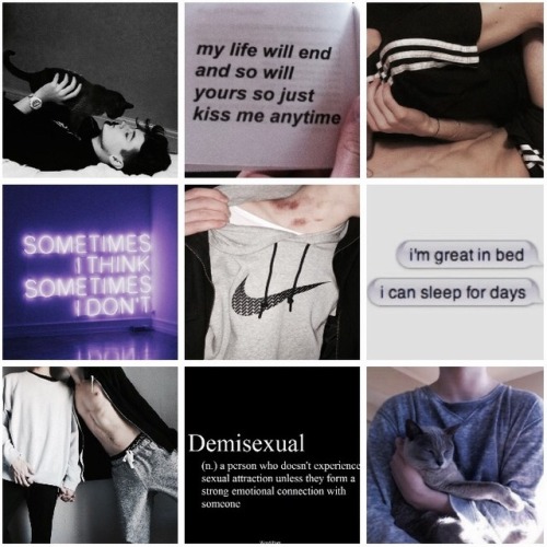 boydsten:demi!neil josten ~~ a moodboard8/8 of my foxes and sexuality edits for pride month!