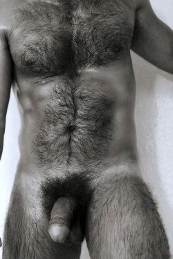 69iloveit69:  a very sexy horny beautiful bear guy i love him. een zeer lekkeren geilen prachtig mooi behaarter kerl ik ben geil op hem. einen leckeren geilen schöner behaarter kerl,er macht mich sehr geil an.  Hot hairy man