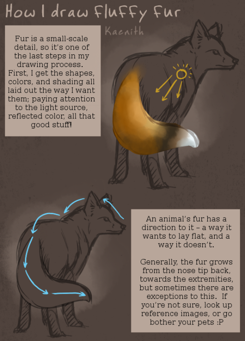 Fluffy Fur Tutorials
