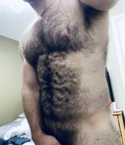 thebearunderground:hairydadsandmuscle:Best in Hairy Men since 201063k followers and