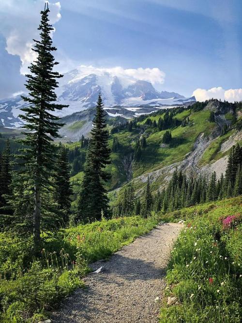 Mt.Rainier, WA Is An Alpine Eden. (4032x3024) [OC] By Kuuz