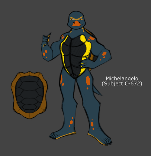 winslowdraws:my TMNT AU designs They’re based on the Ryukyu Black-Breasted Leaf Turtle with face mar