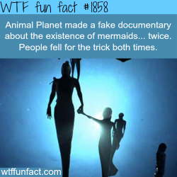 wtf-fun-factss:  Animal Planet Mermaids movies