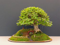 zoomine:  Reinterpretation of Tolkien’s Fantastic Hobbit Home: Chris Guise’s Bonsai Artwork 