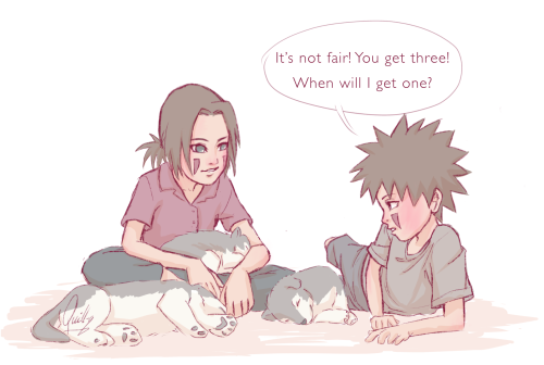 Hana, Kiba and the puppies