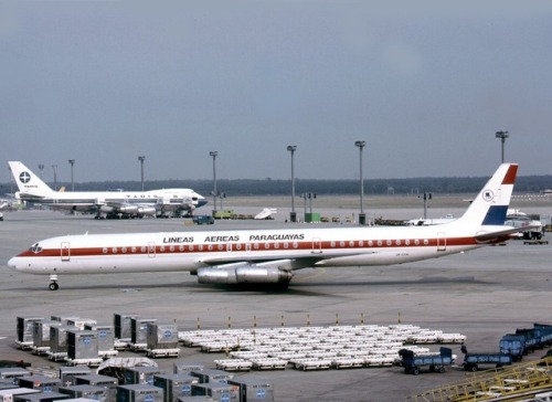 LAP DC-8 At FRA. The Airline Was The Only In Latin America With Scheduled Flights To Brussels ( Until