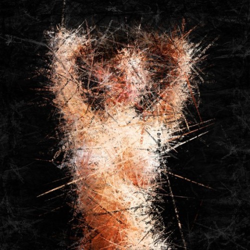 unicorn-meat-is-too-mainstream:   Spam Art  As homage to “the creative, but banal themes of spam”, artist Adam Harvey digitally combined and layered the titles and image content of thousands of spam emails to form mosaics, which he calls ‘Spam Art’.