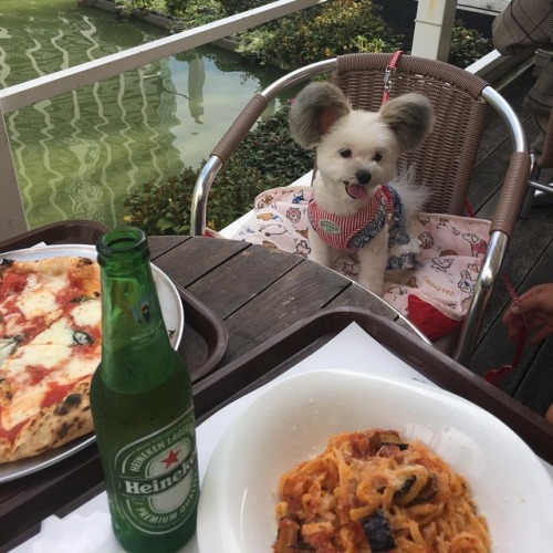 everythingfox:Fun day at the lake: Marupgoma_c