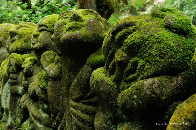 onyxrabbit:  funkalmighty:  taktophoto:  1,200 Whimsical Stone Statues at Buddhist