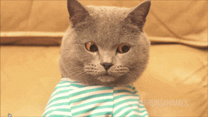 When The Plot Point That's Been Evading You Suddenly Slots Into Place At 00:10am