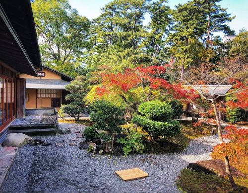 岡崎城・岡崎公園 茶室 城南亭・葵松庵 / Okazaki Castle Park Tearoom Garden, Okazaki, Aichi ② 愛知県岡崎市の都市公園『岡崎公園』の茶室『城南亭・