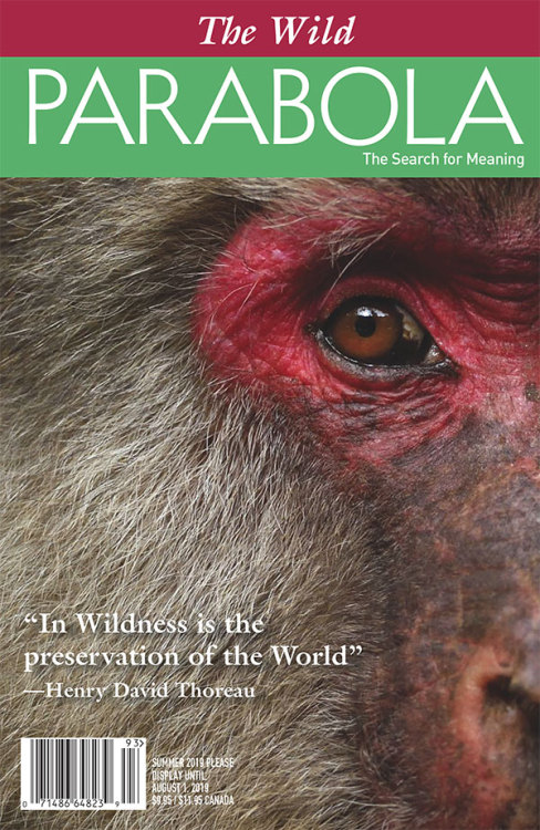 The Spring 2019 Issue, CHANGE &amp; THE CHANGELESS is now available on newsstands and online! FO
