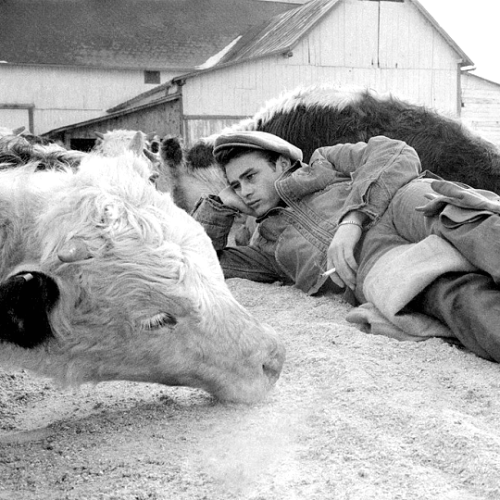 thelittlefreakazoidthatcould: James Dean at his aunt and uncle’s farm in Fairmount, Indiana, p