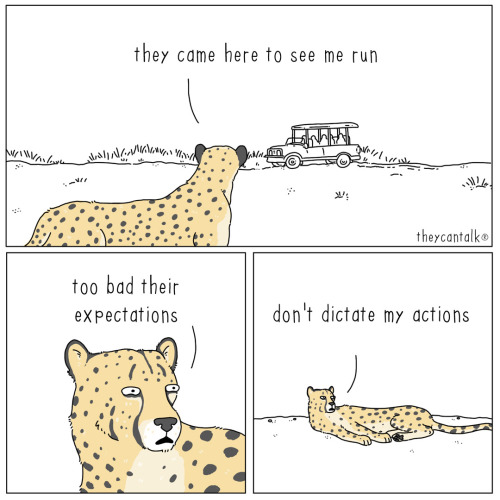 Expectations