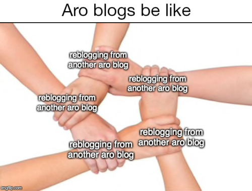 raavenb2619:[ID: At the top, text reads “Aro blogs be like”. Below is the solidarity meme. Five peop