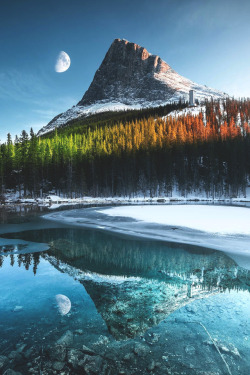 ourlittlesecretlust:  lsleofskye:   The 4 seasoned shark fin 🌾🌲🍂❄️🦈  | joemackin Location: Canmore, Alberta, Canada  🌙