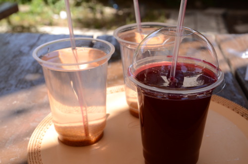 juice break during our persepolis tour! the red one is pomegranate and the other with seeds floating