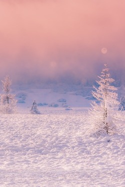 ponderation:  A Winter’s Tale by Birgit