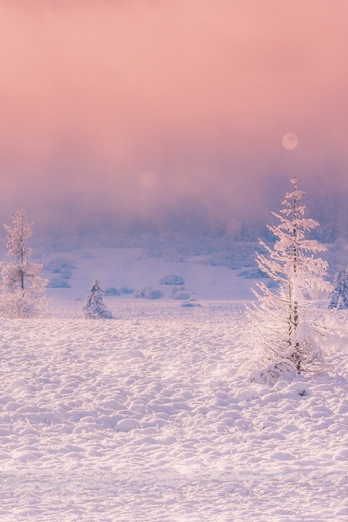 ponderation:  A Winter’s Tale by Birgit Franik  