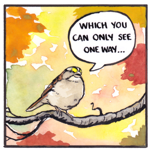 falseknees:Favourite Colour (2020)