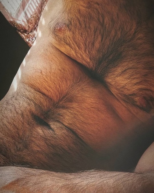 thefurryforest:  