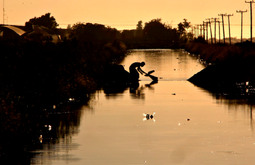 damegasolina:  dynastylnoire:  kateoplis:  The Hard Work and Harsh Conditions of Mexican Farm Labor 