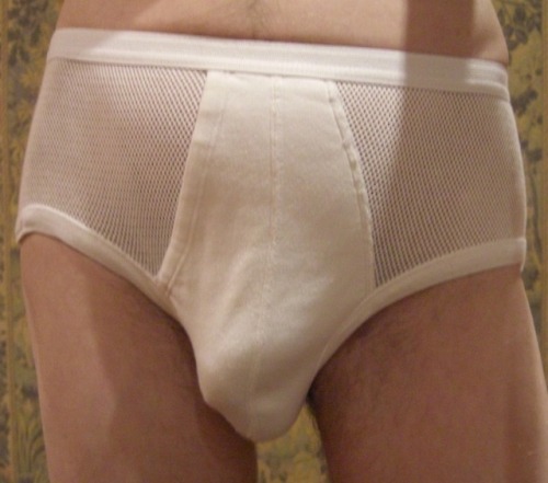 briefsvests:Eminence mesh briefs