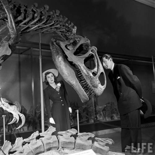 Couple on a date take in the dinosaurs(Nina Leen. 1942?)