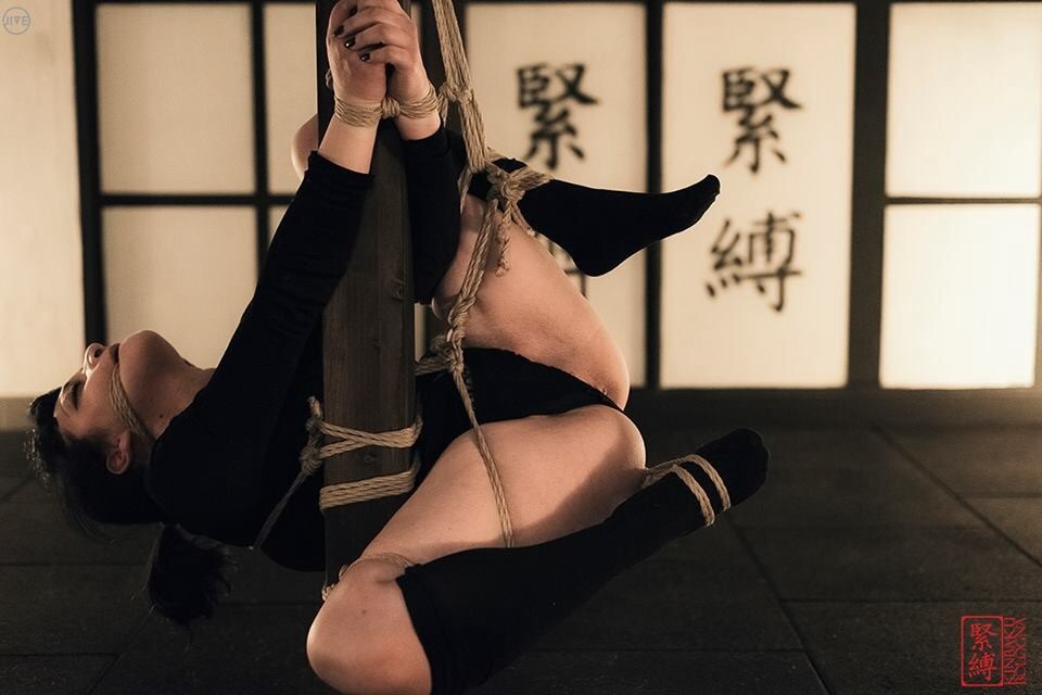 riggernoise:  Rigger: Tomas Gallio (Rigger Noise)   Model: Aisha    Pic: @Jive 