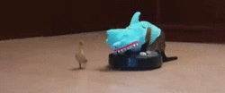 gif-guy:  http://gif-guy.tumblr.com/ 
