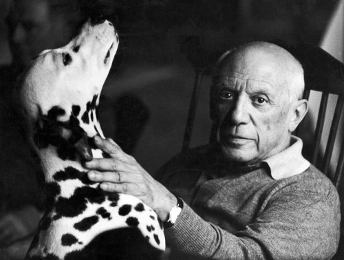1961, Perro the dalmatian and Picasso