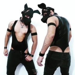 gaydoggytrainer:  pupboltplay:  Bad pup woof