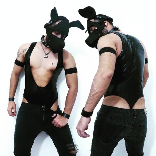 gaydoggytrainer:  pupboltplay:  Bad pup woof  http://gaydoggytrainer.tumblr.com - Just gay filthy perverted Hardcore Porn! Bareback, Piss, Cum, Fist, Toys… Follow me!